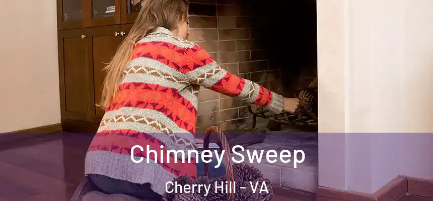  Chimney Sweep Cherry Hill - VA