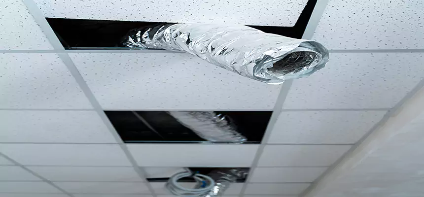 Affordable HVAC Sanitizing After Pest Removal in Cherry Hill