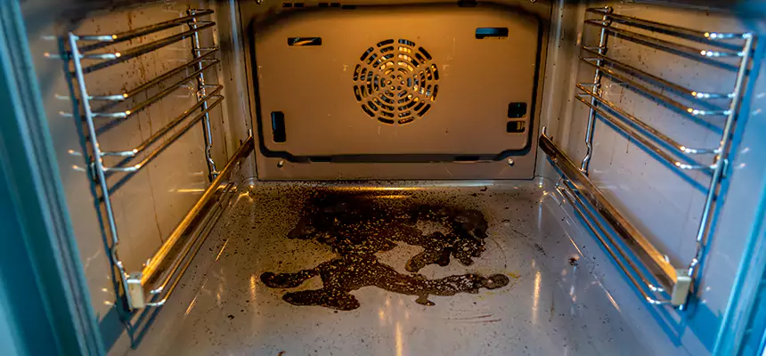 Our Dryer Vent Mold Cleaning Services in Cherry Hill, VA