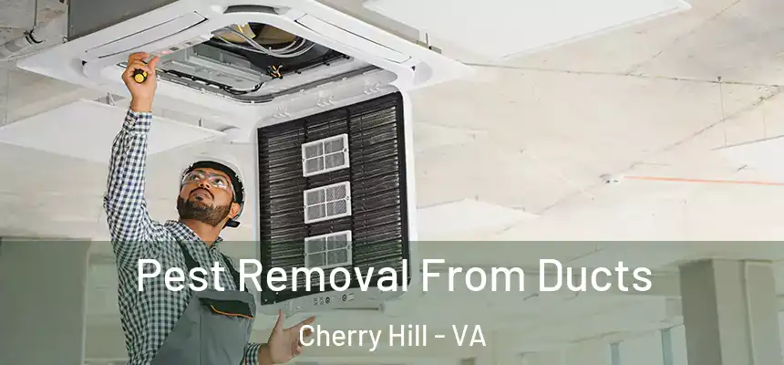  Pest Removal From Ducts Cherry Hill - VA