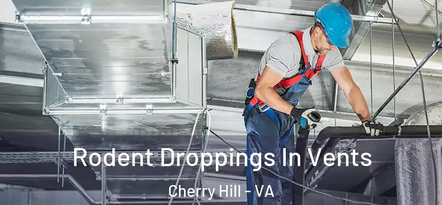  Rodent Droppings In Vents Cherry Hill - VA