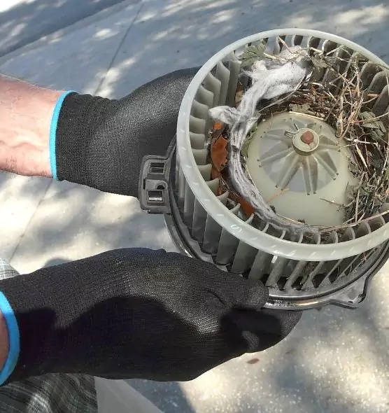 About Air Duct Mice Removal in Cherry Hill, VA