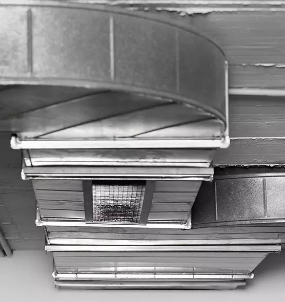 Professional Air Duct Pest Removal in Cherry Hill, VA