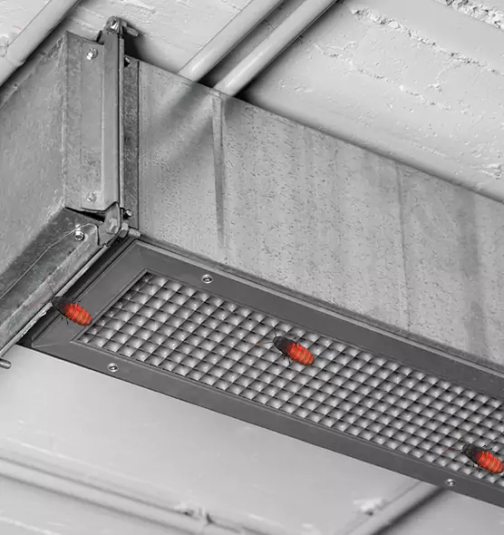 Affordable Insect Removal from Air Ducts in Cherry Hill, VA