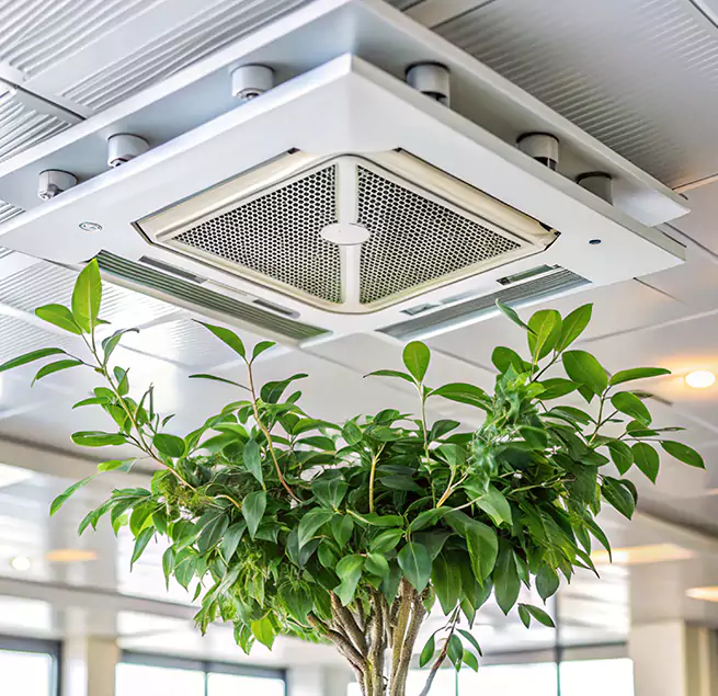 Why Homeowners & Businesses Trust Us in Cherry Hill, VA