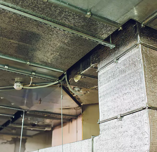 Why Homeowners & Businesses Trust Us in Cherry Hill, VA?